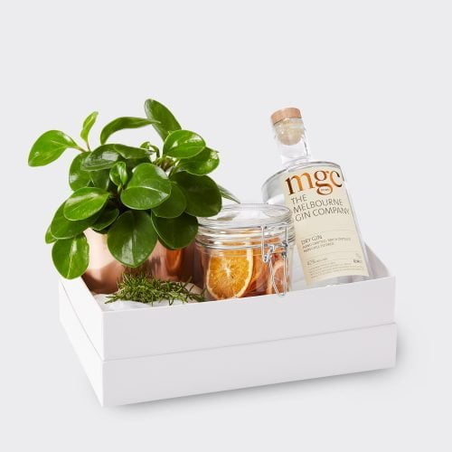 Gin Hamper. Bottle of Melbourne Gin Comoany Gin, a potted plant in a brass pot anda jar of dehydrated orange slices in a gift hamper box. The Petal Provedore. Melbourne.